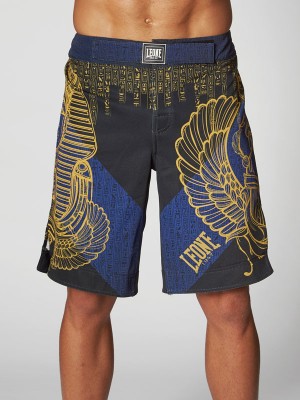 PANTA MMA RAMSES