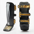 LEONE PARATIBIA X IUTER